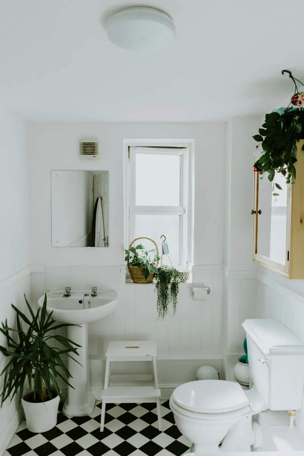 Bright bathroom with a pedestal sink, wainscoting, and potted plants beside a sunlit window